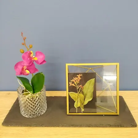 Apartment Boutique